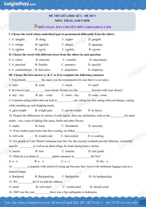 Đề số 3 - Đề kiểm tra giữa kì 2 - Tiếng Anh 9 mới